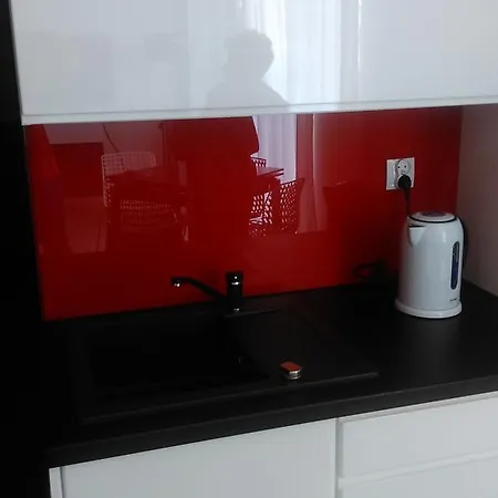 Pogodny Apartament Apartment